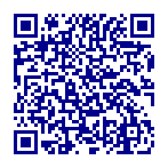 QR Code for Ford Fusion