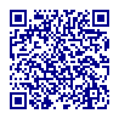 QR Code for Ford Fusion