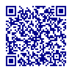 QR Code for Volkswagen Beetle